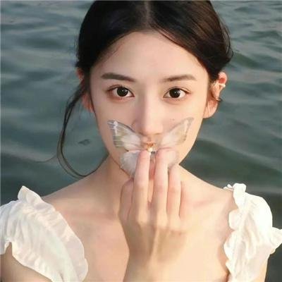 木府风云