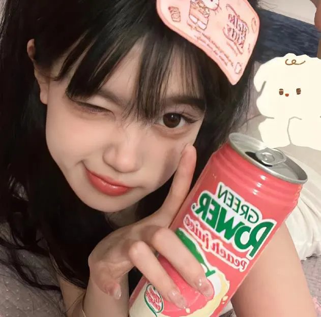 宫廷斗鸡